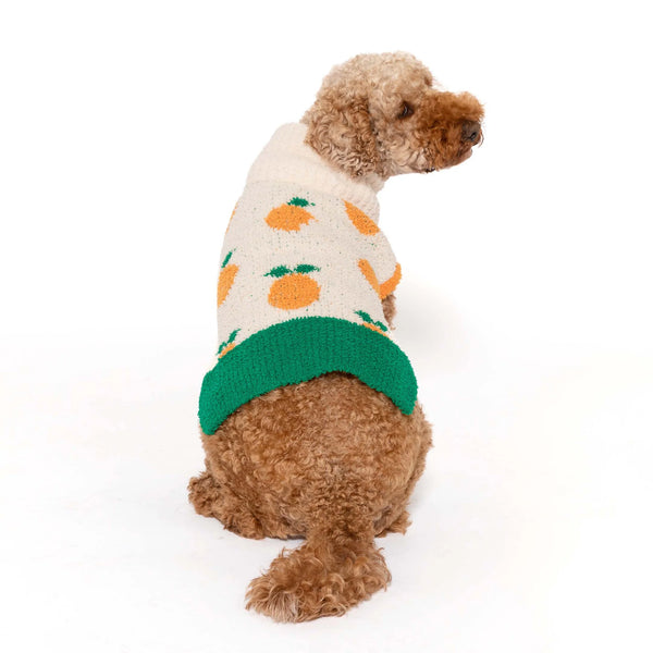 Oranges Dog Sweater