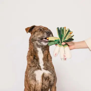 Green Onion Nosework Interactive Dog Toy
