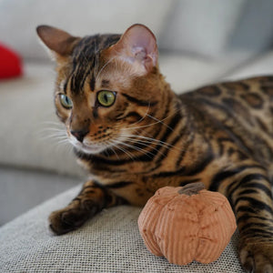 Kiity Catnip Pumpkin Cat Toy