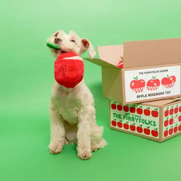 Apple Nosework Interactive Dog Toy