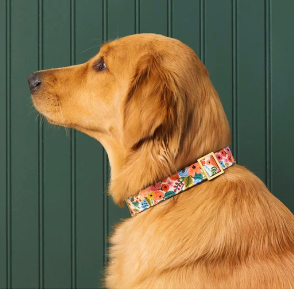 Garden Party Spring Adjustable Dog Collar