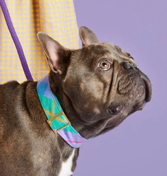 Fable Flannel Plaid Adjustable Dog Collar