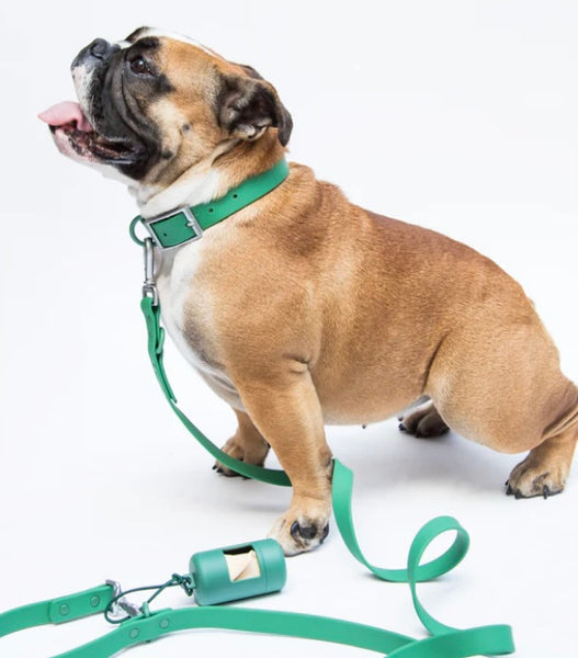 Clover Adjustable Biothane Dog Collar