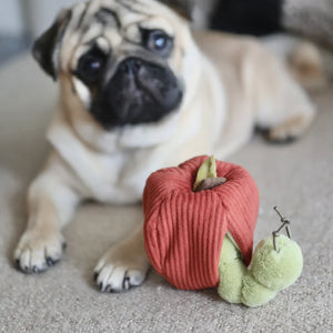 Apple Enrichment Dog Toy