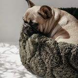 Taart Fern Dog Bed