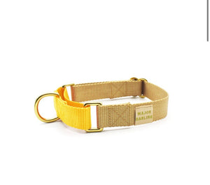 Yellow and Tan Martingale Collar