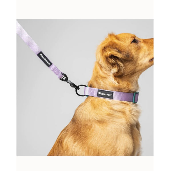 Daisy Adjustable Dog Collar