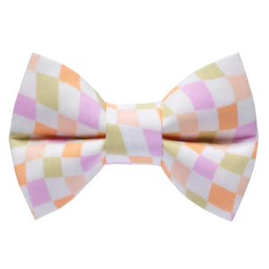 The Game Plan Cat Bow Tie