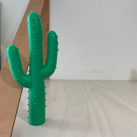 Waggo Cactus Dog Toy