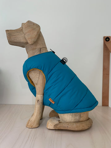 Gooby Solid Padded Turquoise Vest