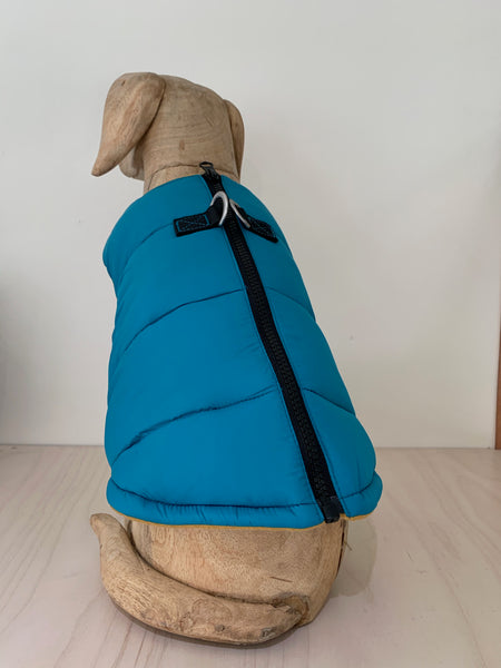 Gooby Solid Padded Turquoise Vest